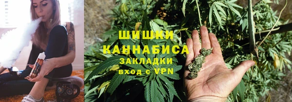 ПСИЛОЦИБИНОВЫЕ ГРИБЫ Баксан